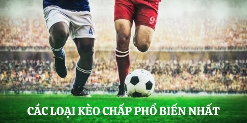 Kèo Chấp Những Kiến Thức Cơ Bản Nhất Cho Mọi Tân Thủ 