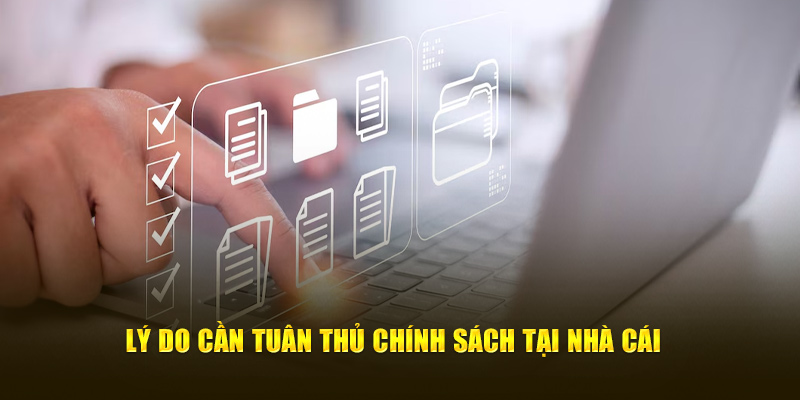 Lý do thành viên cần tuân thủ chính sách tại nhà cái