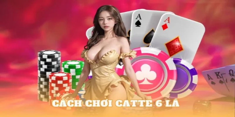 Những chú ý khi chơi bài catte ở nhà cái